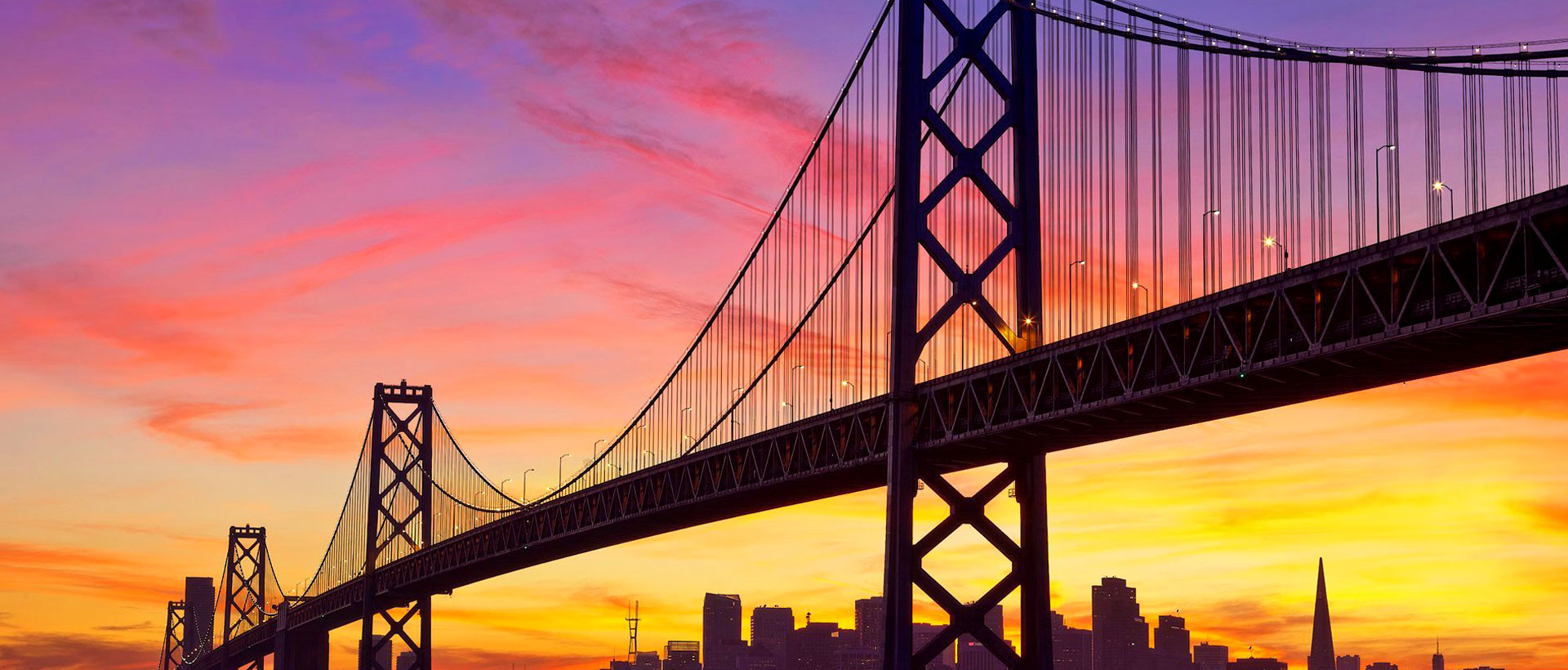 上海助騰網站設計制作開發公司推薦案例-乾立基金-1