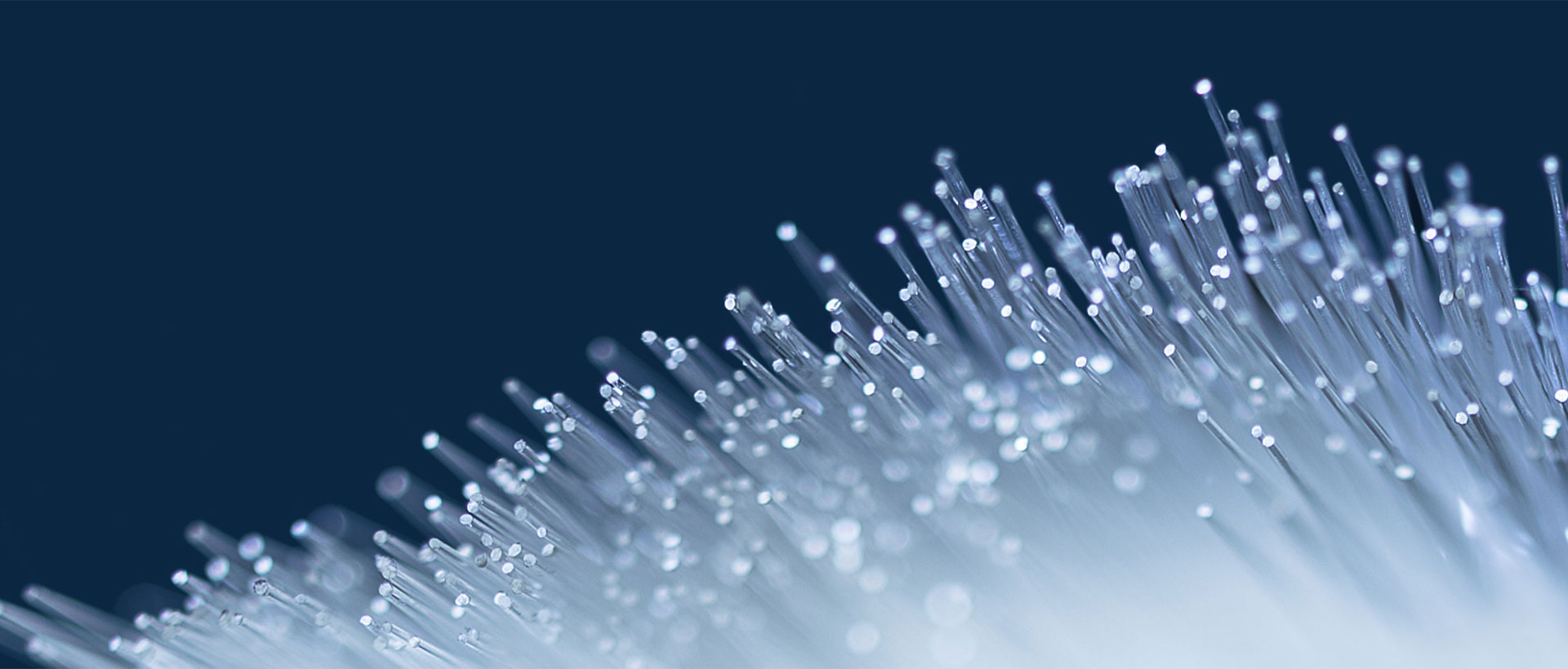 上海助騰網(wǎng)站設(shè)計(jì)制作開發(fā)公司推薦案例-中延集團(tuán)-1