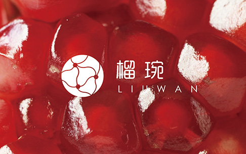 天兆石榴食品包裝設計