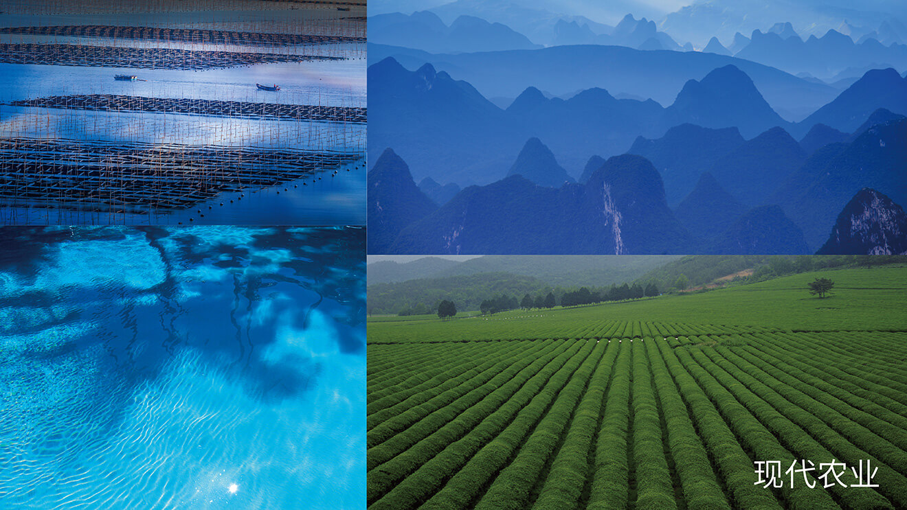 logo元素提取 logo元素提取