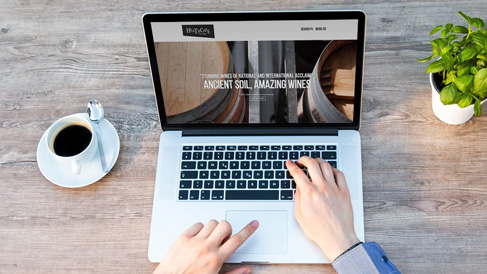 商城網站建設是一家企業發展的基礎更是關鍵 上海助騰科技-網站設計制作案例