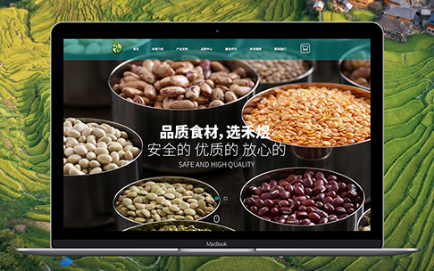 上海網站建設公司的售后服務一般包含哪些內容？