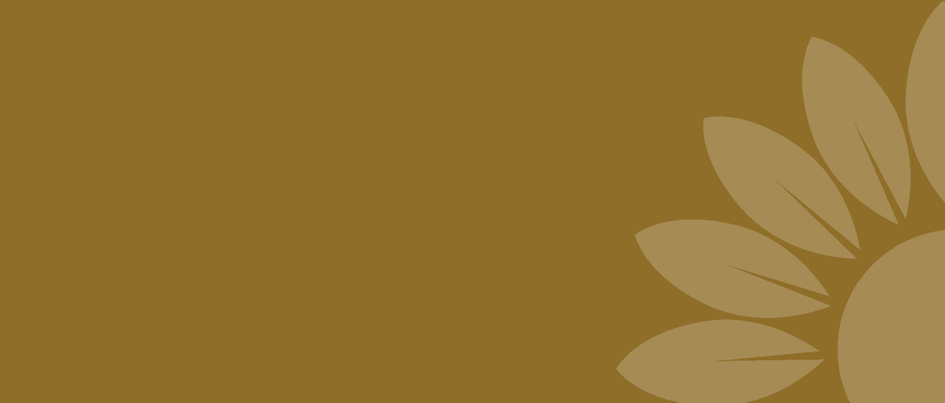 上海助騰網(wǎng)站設(shè)計(jì)制作開(kāi)發(fā)公司推薦案例-創(chuàng)健有明-1