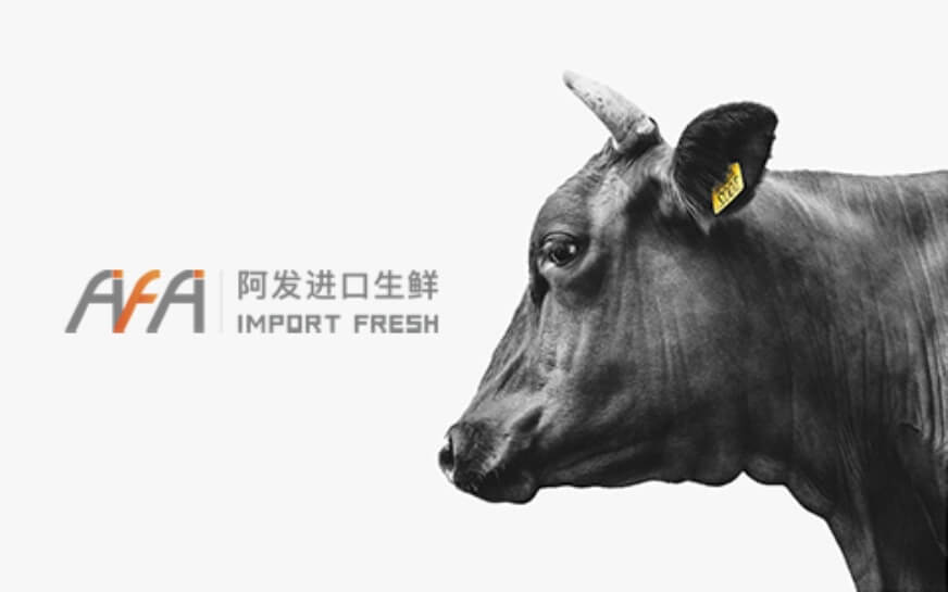 上海助騰科技-網(wǎng)站設計制作案例